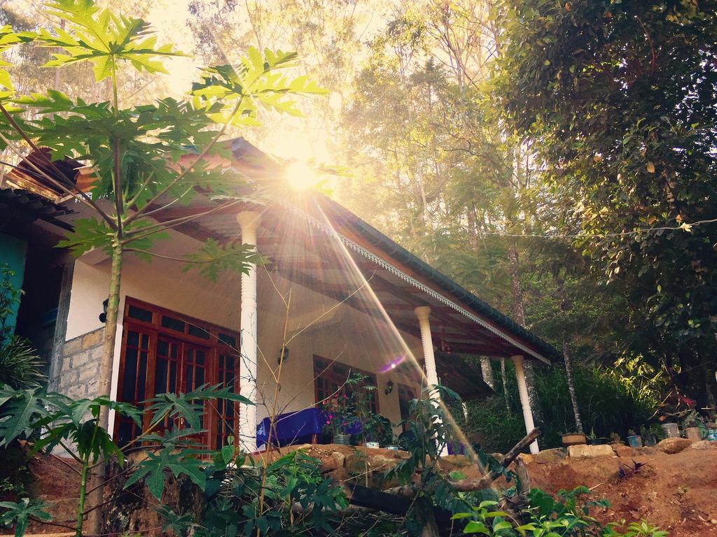 אלה Secret Nest Homestay מראה חיצוני תמונה