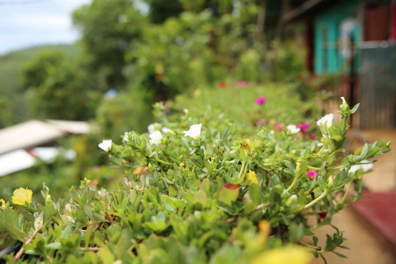 אלה Secret Nest Homestay מראה חיצוני תמונה