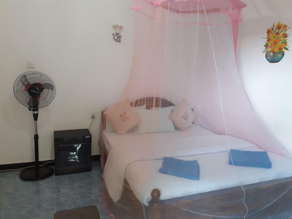 אלה Secret Nest Homestay חדר תמונה